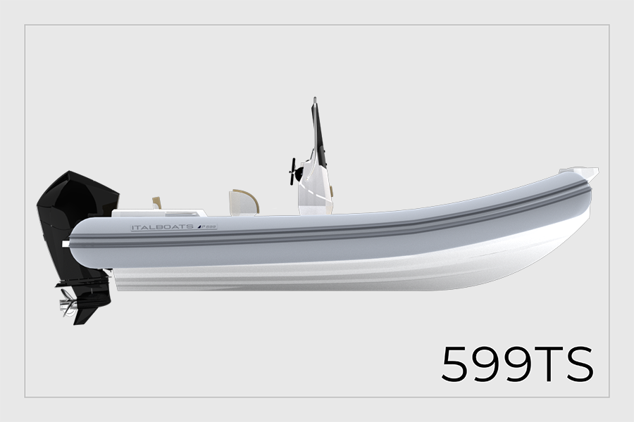 Predator 599 TS